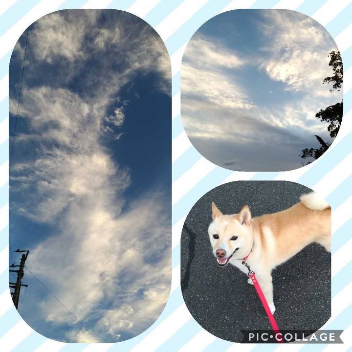 B7099e69 857b 4283 8d67 f09f1b414491 1599131451139