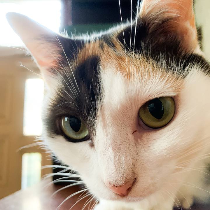 B709b3a8 2f5f 4db7 ba73 5e52bd6d0a8a 1570845934072