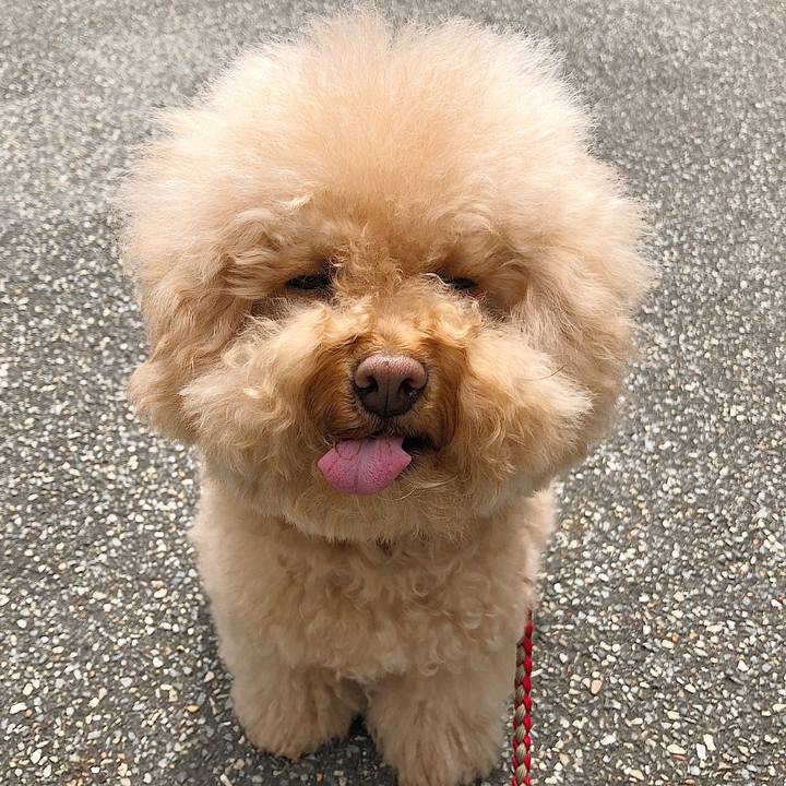 B709b666 f806 4cd7 8a5a 0d4526ee78d8 1527476200411