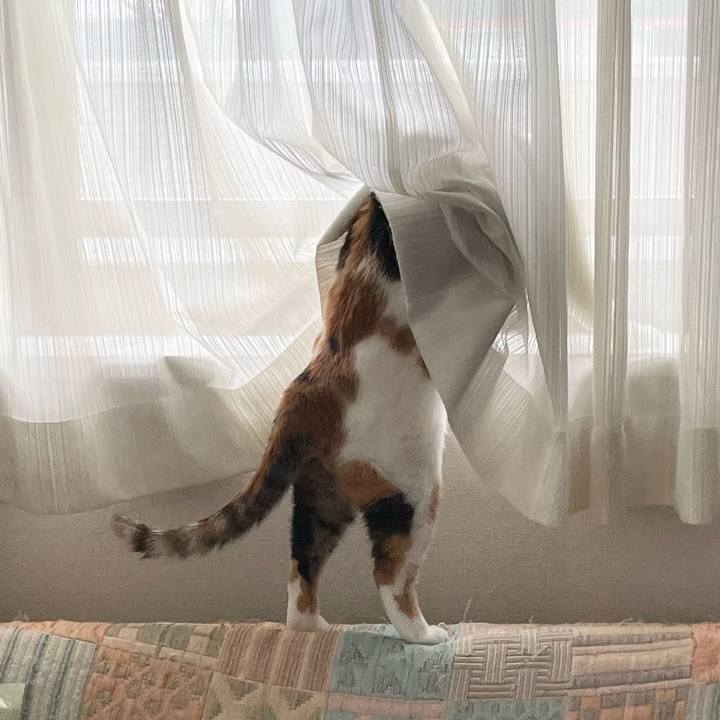 B709cb1f 618c 44c9 b94b f56b652b3d65 1715124890948