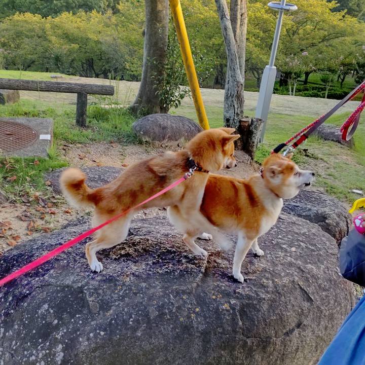 B709db21 3255 4044 9a04 210f5ba4ca1f 1663329606221