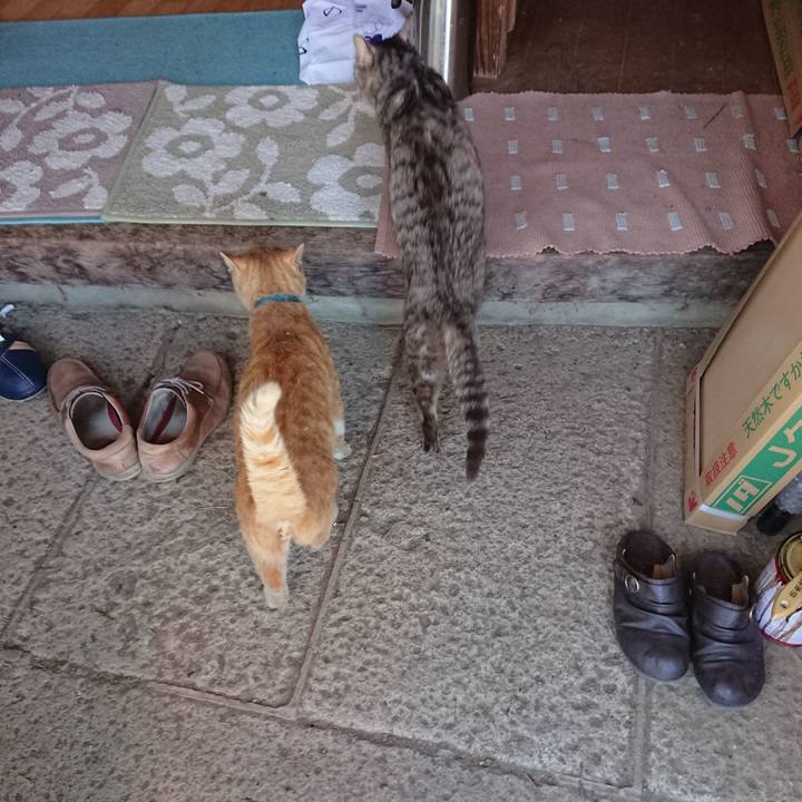 B709f349 f5c9 4f5e ac2b 66705b9a99a5 1556959547102