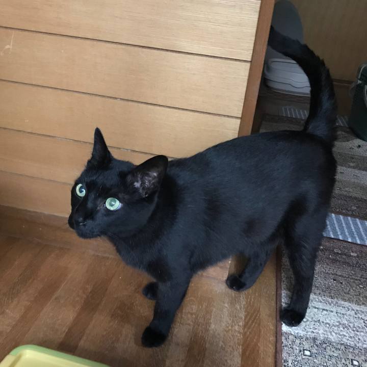 B709f44e 5a7e 47c3 8bf5 5228da0e2620 1527903194824