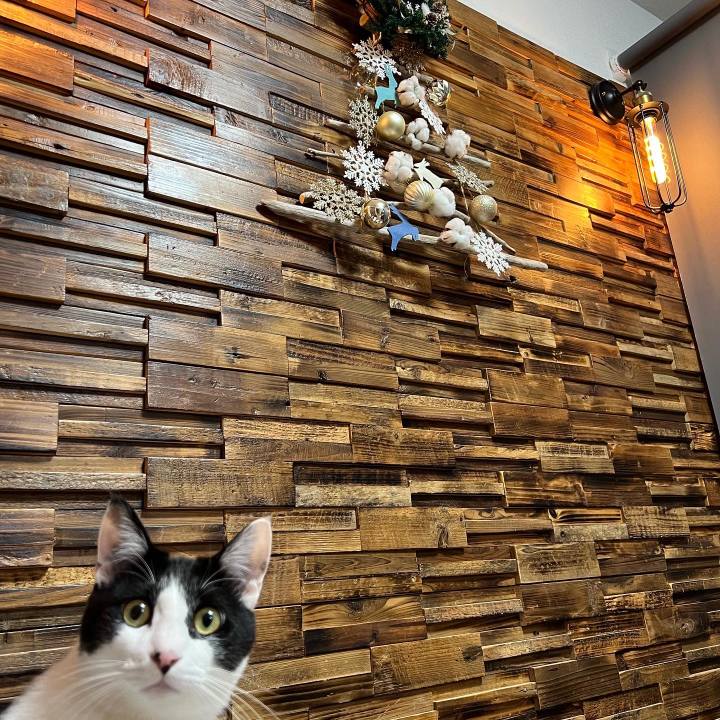 B70a0958 5932 42d8 adfc 5aa6784b2f97 1639219382360