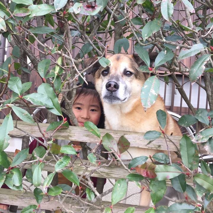 B70a0ac5 94bf 4091 8142 dd08714b8bd4 1546409630830