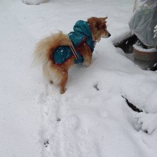 B70a0e4f 3c36 4399 9d64 ff078bc50b21 1566000955286