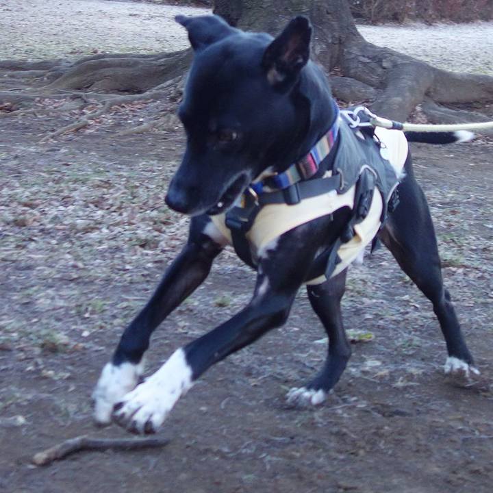 B70a11d5 0b46 4c5e 9f15 b9152cba0341 1643072968458