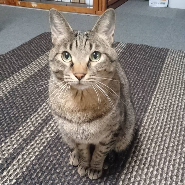 B70a1756 69b6 4b10 b454 eea7f6f4e567 1509818599929