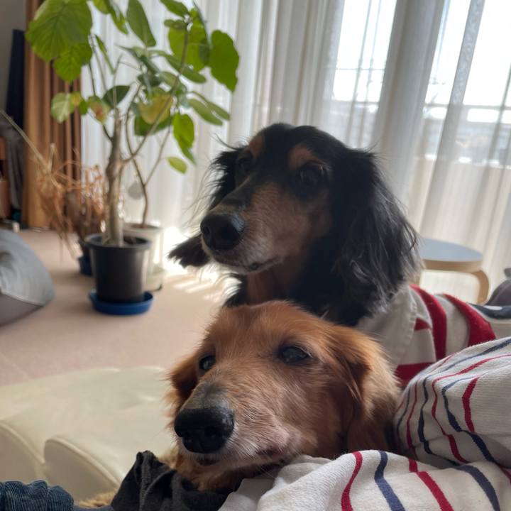 B70a3047 ff27 483b 9d42 0c2ddd71180b 1676861853723