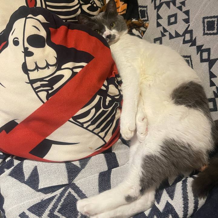 B70a574a 1eb0 4457 85b0 ba27cfa9ddd5 1732357987032