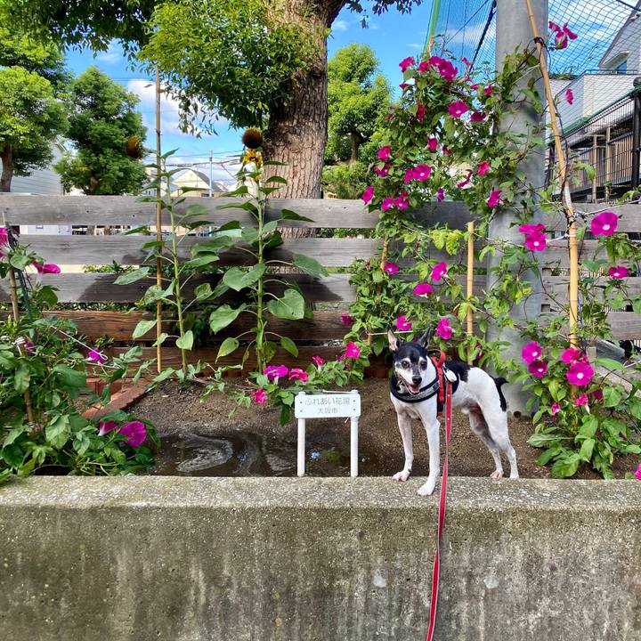 B70a6640 fb81 45d5 924c e59280eb5677 1601165324752