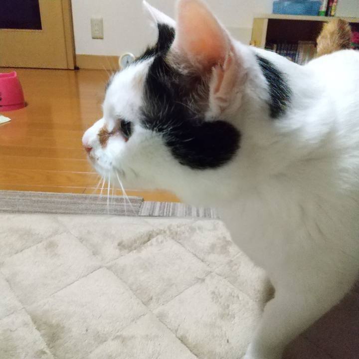 B70ab435 46be 49e1 8902 c7dbd2725261 1671885304120