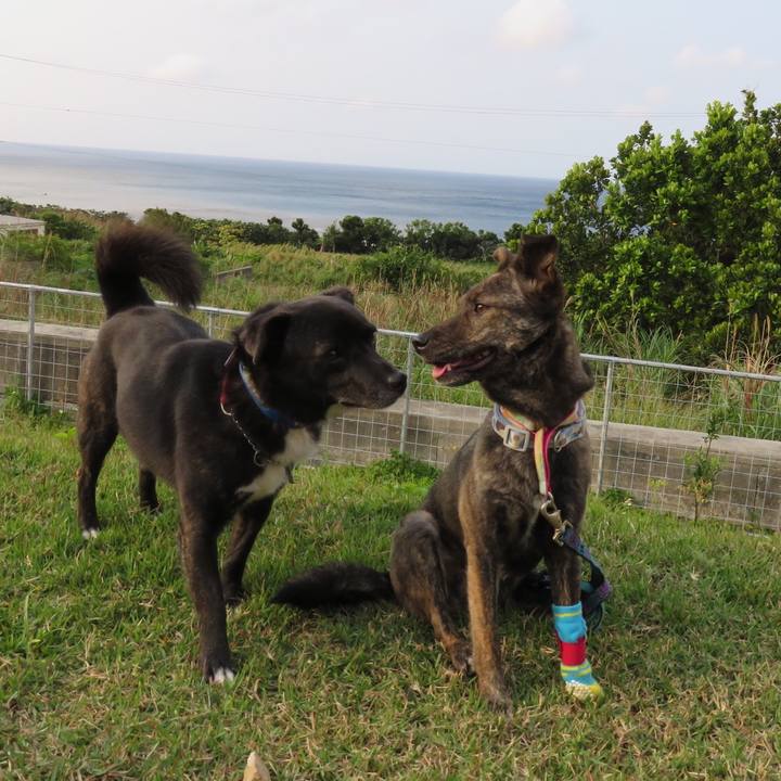 B70add9c da39 422b 9110 9e243207f90e 1553923351414