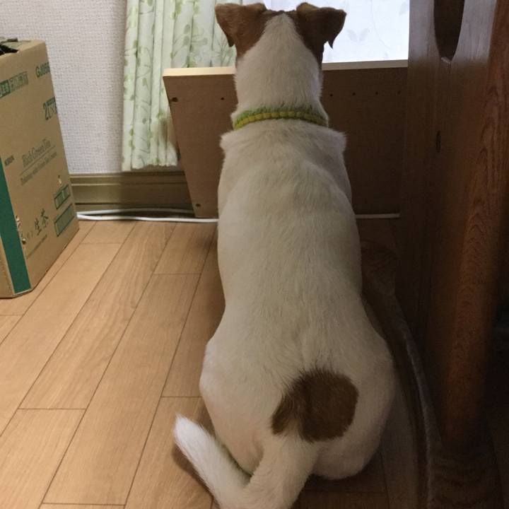 B70ae5da c64b 4276 8ba7 7a7b39920bd1 1559639808125