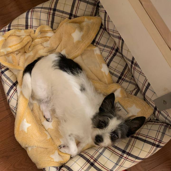 B70b4d4b 0005 4b01 a027 a9279fbf93b6 1584153691602