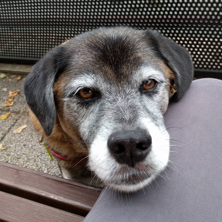 B70b6966 75c4 4330 8545 212e613d3d6d 1538701631208