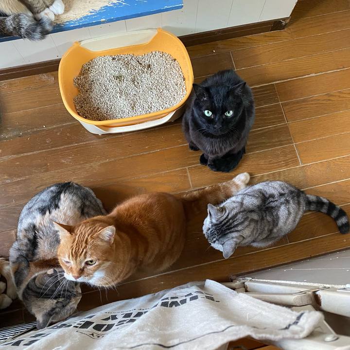 B70b80fc 2b5e 480a 8ebb 3318687dcf2a 1646918593517