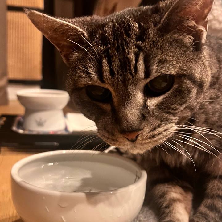 B70ba139 b1f2 4078 95c7 f8e0203727a9 1764165947249