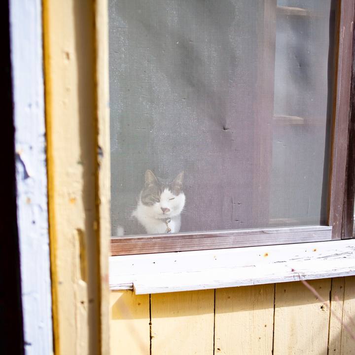 B70ba6a3 f2ea 41f3 86f9 d86107d7ad86 1582076396408