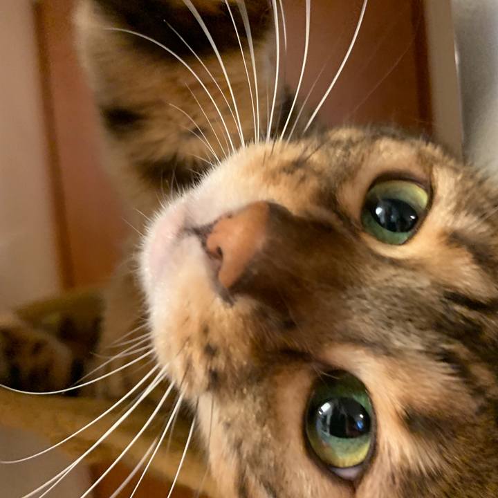 B70bcb06 fce5 491d 92ad 38d80ff1b979 1561771126138