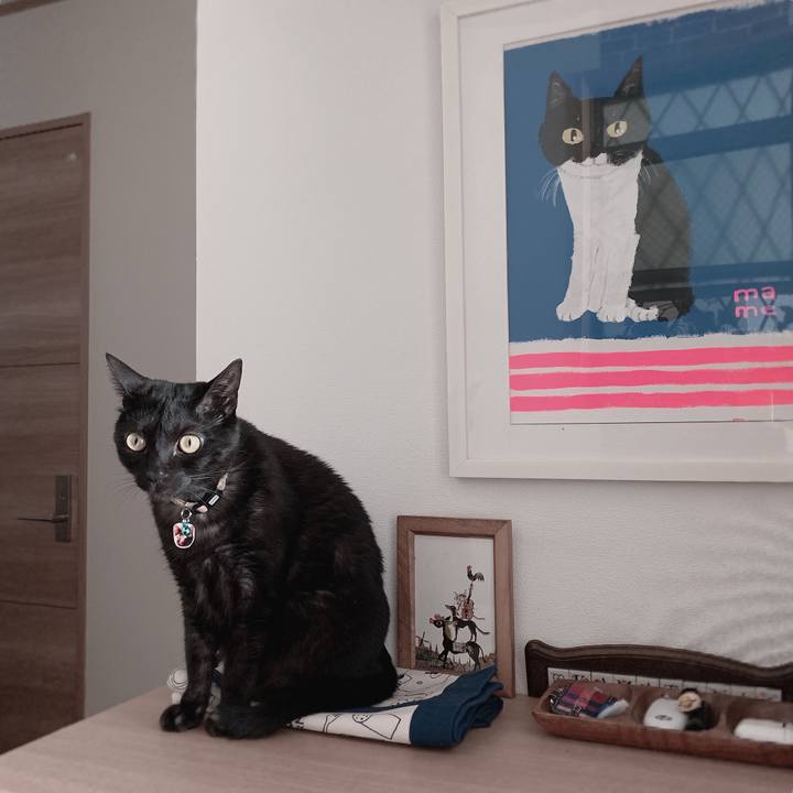 B70bf403 8280 407c 83aa b648682bbcd5 1560385996247