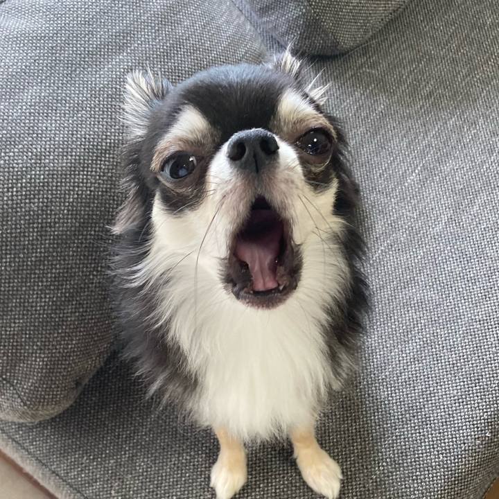 B70bfd14 b656 4442 a570 34776f0acdb2 1624163942901