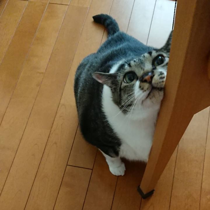 B70c18fe 2ecb 4c52 94d9 5ee2f8e1bddf 1559865957994