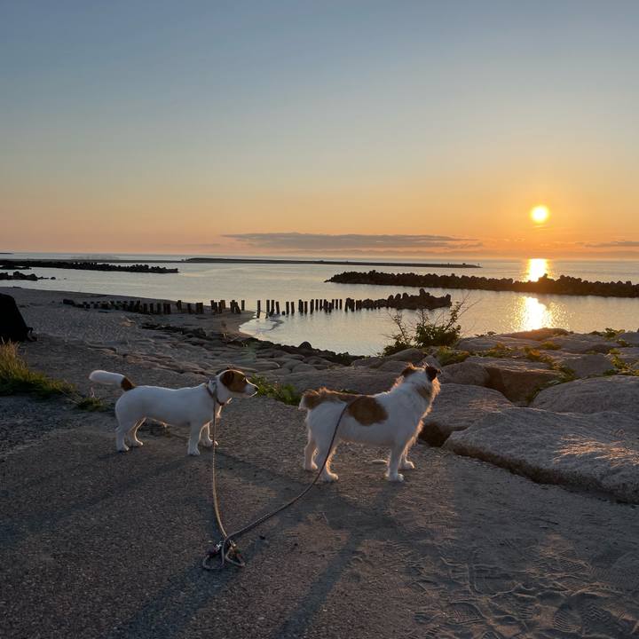 B70c239f 5e46 4ad4 8e19 626f27ad8f19 1684147351694