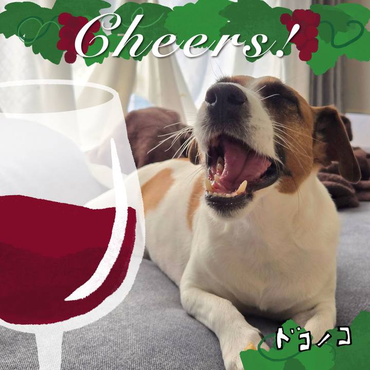 B70c8933 c131 4f66 b5fb 2672c2ca1afe 1763697656111