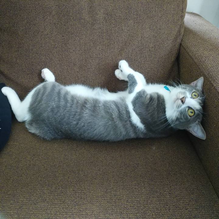 B70cc0ec 4a98 4e6b 8145 a186f66a1ee2 1591368923780