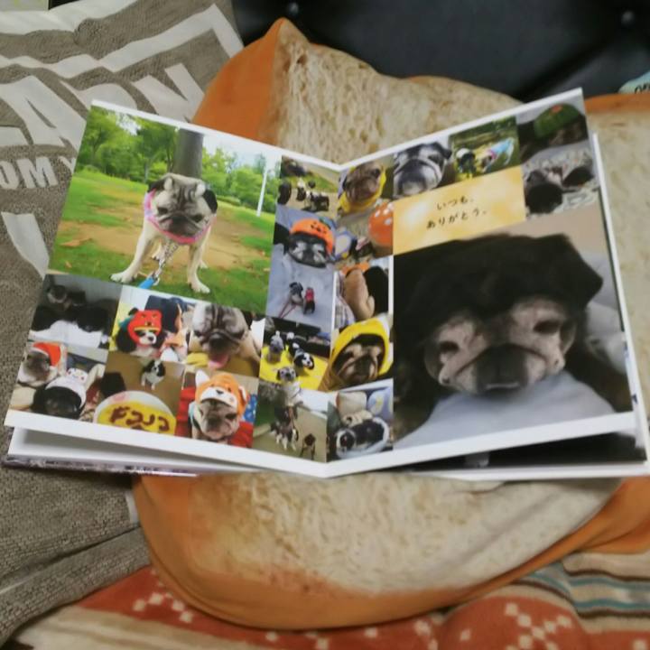 B70cc297 b0b1 4d8f ba57 2f50a75425ab 1531052613691