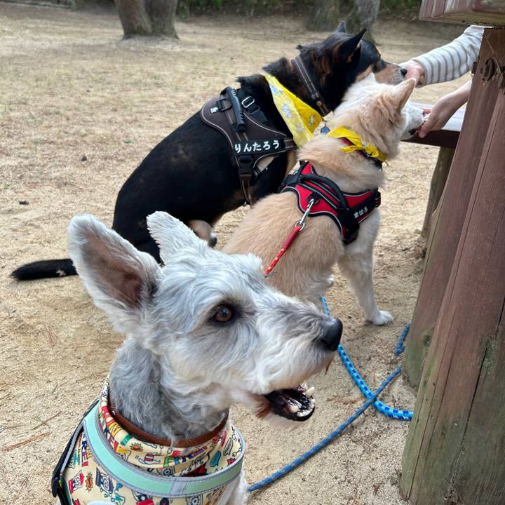 B70ce3e1 9d1a 4cc8 98c4 ea026c18b55d 1731422799901