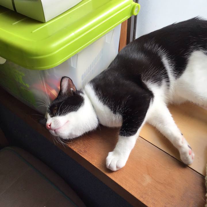 B70d4253 f8eb 434c 94e9 afa0dda17c80 1632735940271