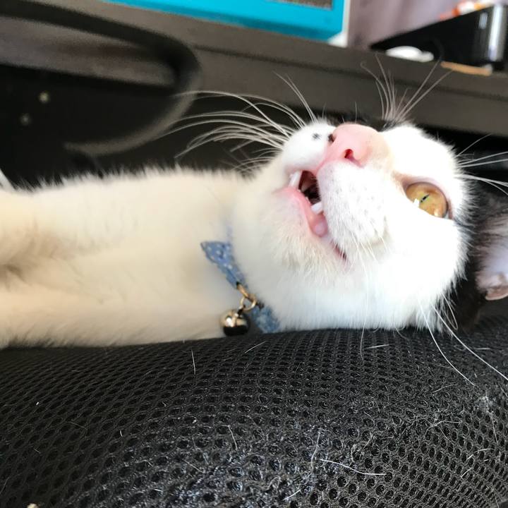 B70d4a46 970a 41ca 9022 b6a32f6dff44 1515481015962