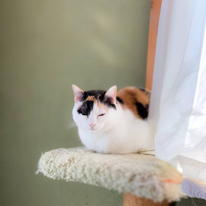 B70d8f83 a12c 4ff4 8b5f 0ea2cf69c41d 1588296716732