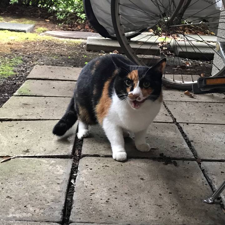 B70d950b 4435 45f6 b0df bbdc480bed53 1545543639360