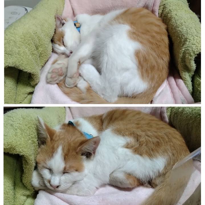 B70da3a9 cfff 4bfe a3ac 81fc616abd02 1733399420008