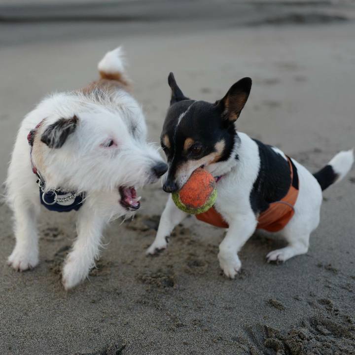 B70da7e0 eef2 410b 8f9a 53fa0347da66 1514005376633