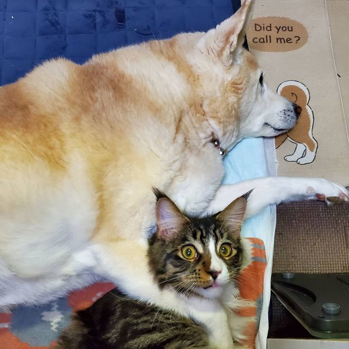 B70dbab4 6c42 46c9 905b 6c3bf6d4bc7c 1671782205089