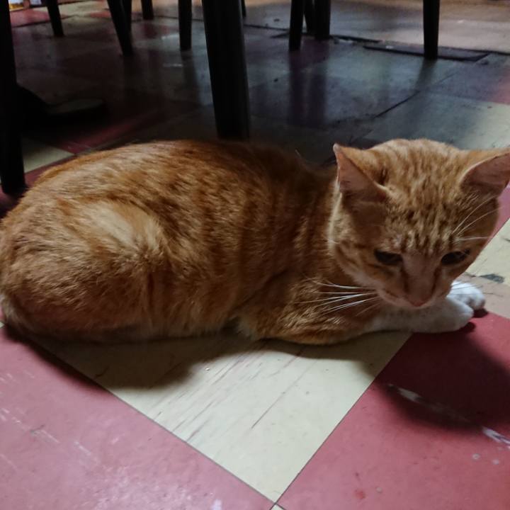 B70dcbdb bf23 4bd4 af99 0f52f971e4c1 1562185401974