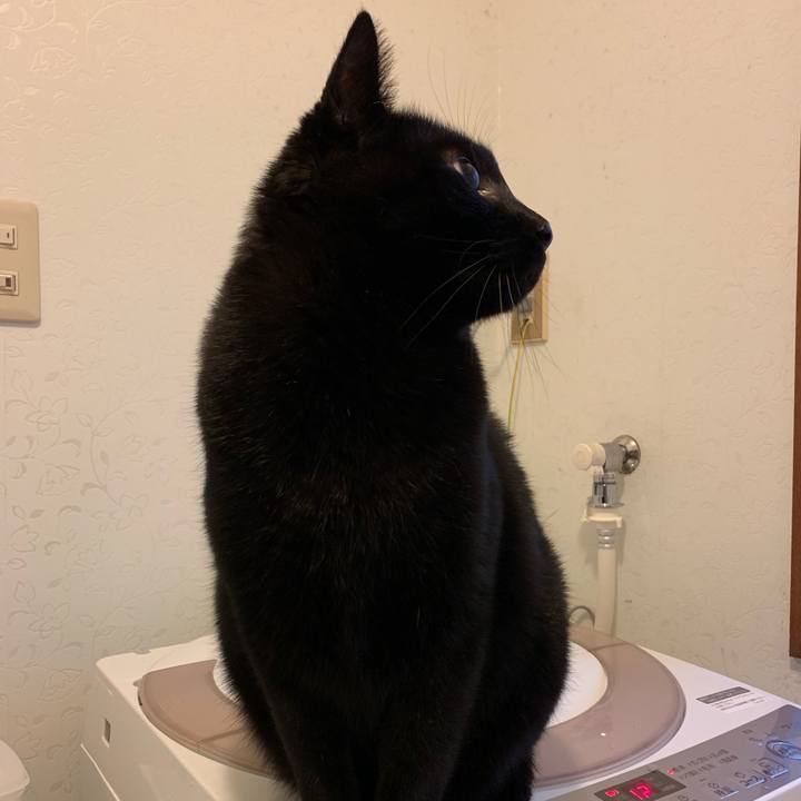 B70ddc69 daf7 482a 98db f72f25eb95bc 1546044915034