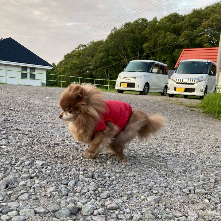 B70e0919 4e6e 4ade b989 eb43296812d6 1728780052190