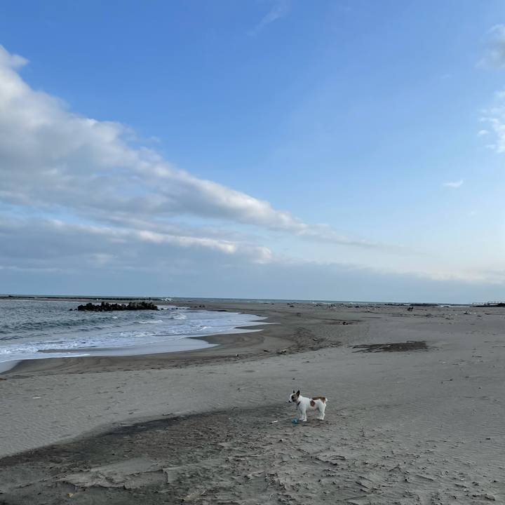 B70e098d 6109 4d92 b19d 3265a26f66ef 1616021255702