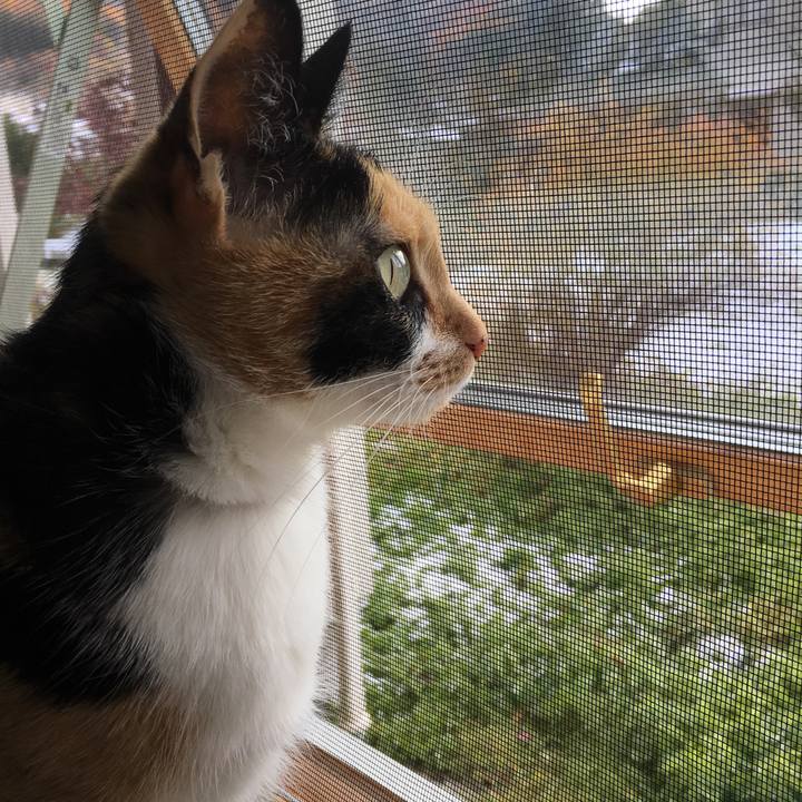 B70e11cc ccca 4f3c 8313 8943739e0435 1511054221982