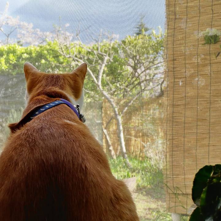 B70e243c 222d 40aa 8b89 f4777cb1ebb9 1523796282094