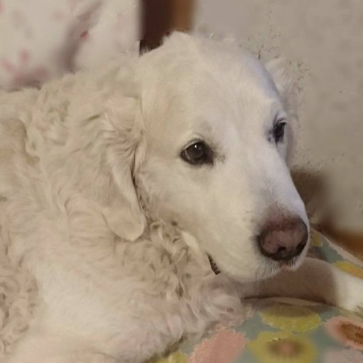 B70e6bb6 4df2 467d a145 f95b41cc55f8 1520518382653