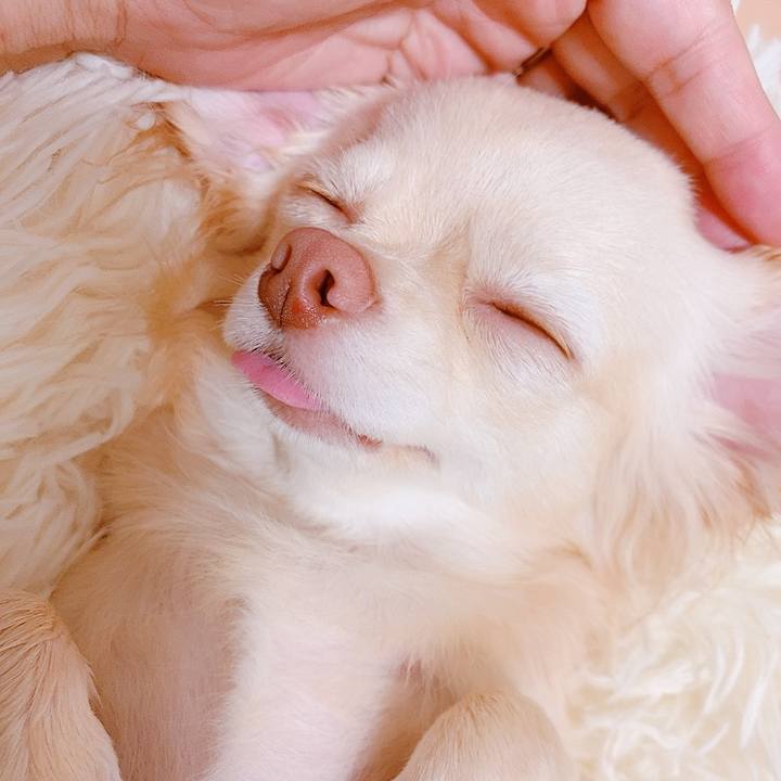 B70e77f8 78f7 4525 aad5 a97ccc4d9966 1623748045567