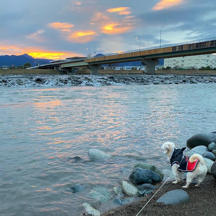 B70e82af 1ca9 42e7 81ba 9caa917eecf3 1583664512740