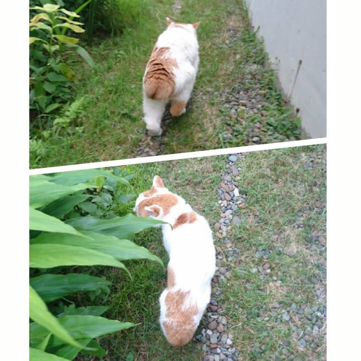 B70e9031 065d 4c5e ab3b 90d82f70a880 1534587666204