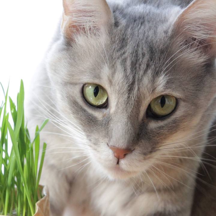 B70e93f8 4269 49cc bf1d fb9731580ddd 1582347197614